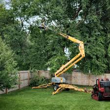 Best Tree Mulching  in Mercerville, NJ